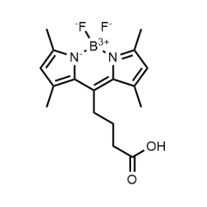 BODIPY 505/515-8-C3-COOH|CS-0590259