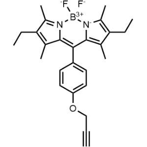 BODIPY-X-Alkyne|CS-0590274