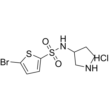 5-Bromo-N-(pyrrolidin-3-yl)thiophene-2-sulfonamide hydrochloride|CS-0594033