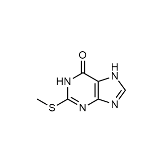 2-(Methylthio)-1,7-dihydro-6H-purin-6-one|CS-0594950