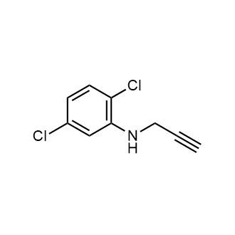 2,5-Dichloro-N-(prop-2-yn-1-yl)aniline|CS-0595128