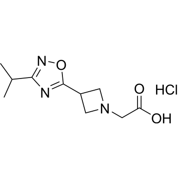 2-(3-(3-Isopropyl-1,2,4-oxadiazol-5-yl)azetidin-1-yl)acetic acid hydrochloride|CS-0595682