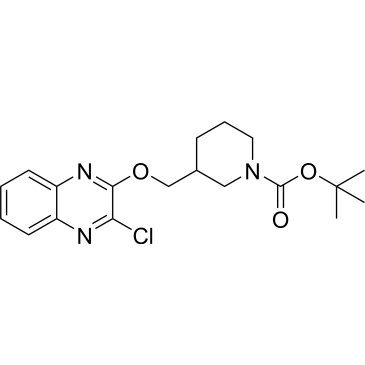 Tert-butyl 3-(((3-chloroquinoxalin-2-yl)oxy)methyl)piperidine-1-carboxylate|CS-0596479