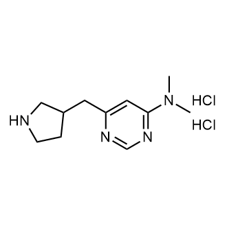 N,N-dimethyl-6-(pyrrolidin-3-ylmethyl)pyrimidin-4-amine dihydrochloride|CS-0601331