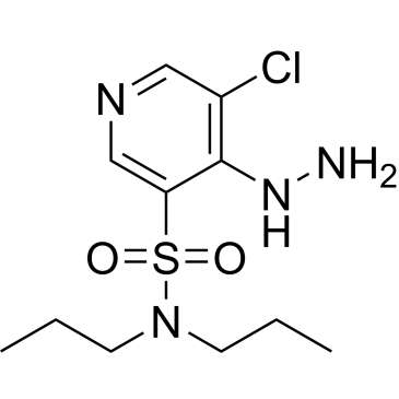 5-Chloro-4-hydrazinyl-N,N-dipropylpyridine-3-sulfonamide|CS-0601510
