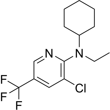 3-Chloro-N-cyclohexyl-N-ethyl-5-(trifluoromethyl)pyridin-2-amine|CS-0601898