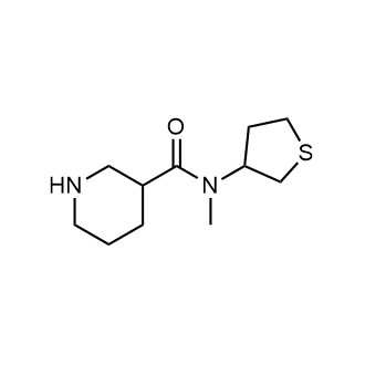 N-methyl-N-(tetrahydrothiophen-3-yl)piperidine-3-carboxamide|CS-0602254