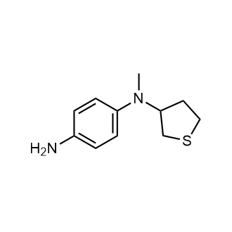 N1-methyl-N1-(tetrahydrothiophen-3-yl)benzene-1,4-diamine|CS-0602255