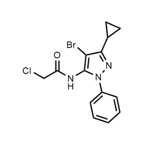 N-(4-bromo-3-cyclopropyl-1-phenyl-1H-pyrazol-5-yl)-2-chloroacetamide|CS-0602902