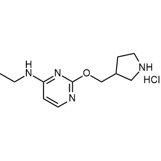 N-ethyl-2-(pyrrolidin-3-ylmethoxy)pyrimidin-4-amine hydrochloride|CS-0607135