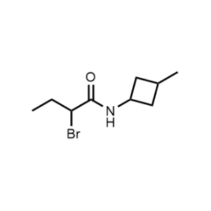 2-Bromo-N-(3-methylcyclobutyl)butanamide|CS-0607256