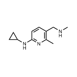 N-cyclopropyl-6-methyl-5-((methylamino)methyl)pyridin-2-amine|CS-0607511