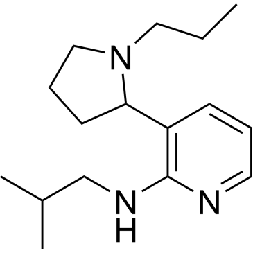 N-isobutyl-3-(1-propylpyrrolidin-2-yl)pyridin-2-amine|CS-0607687