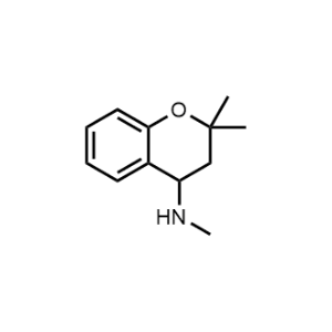 N,2,2-trimethylchroman-4-amine|CS-0607783