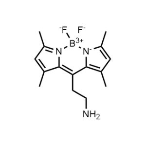 BODIPY FL Ethylamine|CS-0608055