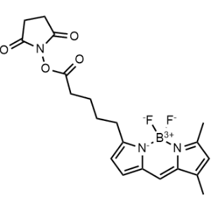 BODIPY FL-C5 NHS Ester|CS-0608248