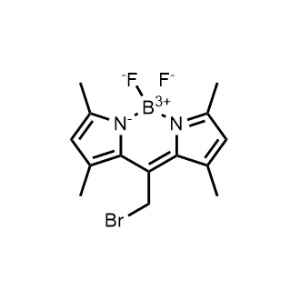BODIPY 493/503 methyl bromide|CS-0608274