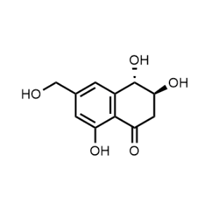 (3S,4S)-3,4,8-Trihydroxy-6-(hydroxymethyl)-3,4-dihydronaphthalen-1(2H)-one|CS-0608850