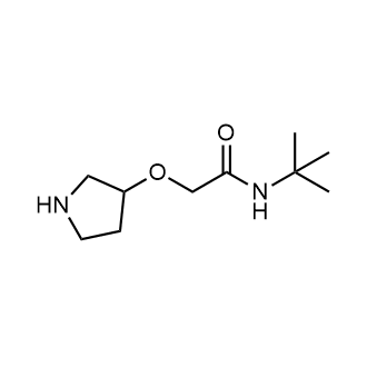 N-(tert-Butyl)-2-(pyrrolidin-3-yloxy)acetamide|CS-0610067