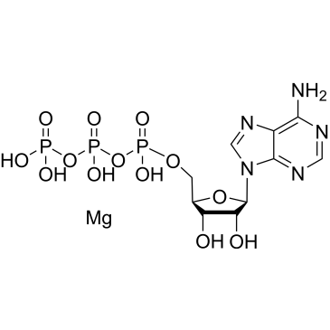 ATP magnesium|CS-0610566