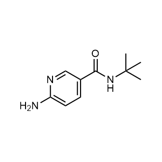 6-Amino-N-(tert-butyl)nicotinamide|CS-0611352