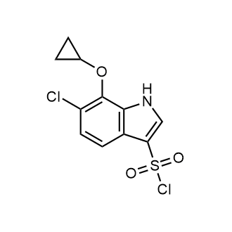 6-Chloro-7-cyclopropoxy-1H-indole-3-sulfonyl chloride|CS-0613675