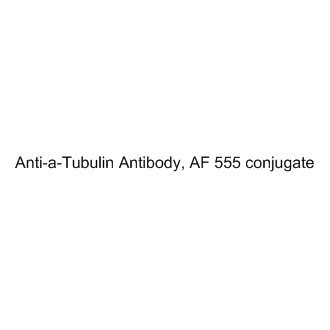 Anti-α-Tubulin Antibody, AF555 conjugate|CS-0613884
