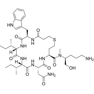 CS-0615345