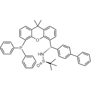 [S(R)]-N-[(S)-[1,1′-Biphenyl]-4-yl[5-(diphenylphosphino)-9,9-dimethyl-9H-xanthen-4-yl]methyl]-2-methyl-2-propanesulfinamide|CS-0616567