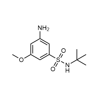 3-Amino-N-(tert-butyl)-5-methoxybenzenesulfonamide|CS-0619289