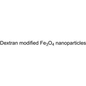 Dextran modified Fe3O4 nanoparticles 20nm|CS-0621156
