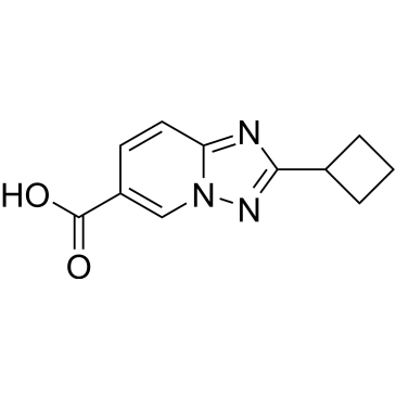 2-Cyclobutyl-[1,2,4]triazolo[1,5-a]pyridine-6-carboxylic acid|CS-0625010
