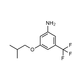 3-Isobutoxy-5-(trifluoromethyl)aniline|CS-0625057