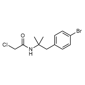 N-(1-(4-Bromophenyl)-2-methylpropan-2-yl)-2-chloroacetamide|CS-0628053
