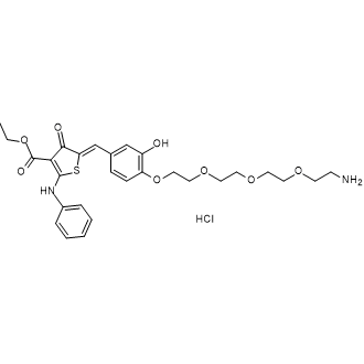 (Z)-Ethyl 5-(4-(2-(2-(2-(2-aminoethoxy)ethoxy)ethoxy)ethoxy)-3-hydroxybenzylidene)-4-oxo-2-(phenylamino)-4,5-dihydrothiophene-3-carboxylate hydrochloride|CS-0636069