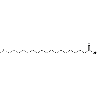 18-Methoxyoctadecanoic acid|CS-0636170