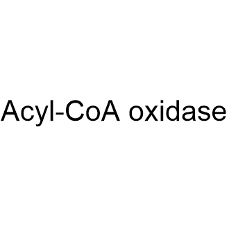 Acyl-CoA oxidase|CS-0637349