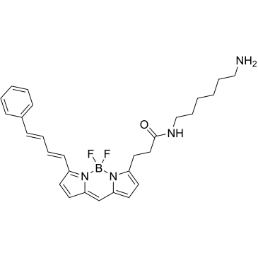 BODIPY 581/591 amine|CS-0638579