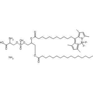 BODIPY 505/515 PS ammonium|CS-0638590