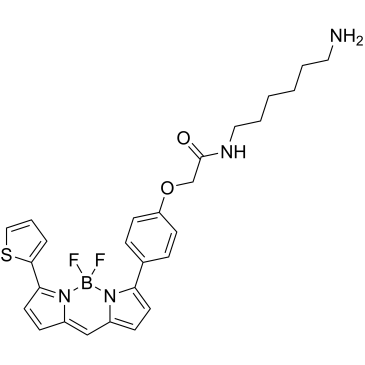 BODIPY TR amine|CS-0638726