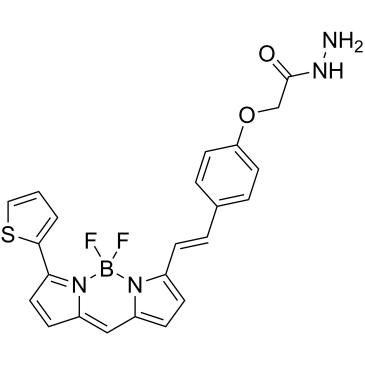 BODIPY 630/650 hydrazide|CS-0638750