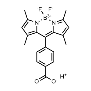 BODIPY dye|CS-0638767