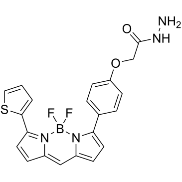 BODIPY TR hydrazide|CS-0638783