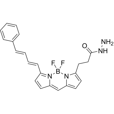 BODIPY 581/591 hydrazide|CS-0638786