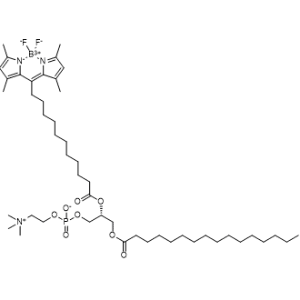 1-Palmitoyl-2-(dipyrrometheneboron difluoride)undecanoyl-sn-glycero-3-phosphocholine|CS-0638812