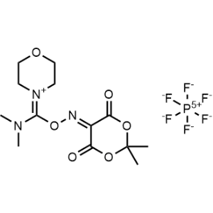 HMMU|CS-0639404