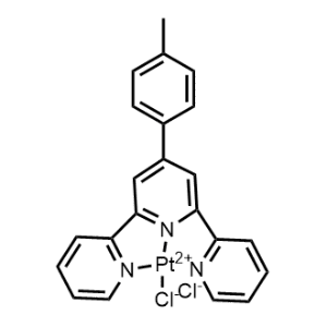 PT-ttpy|CS-0639756