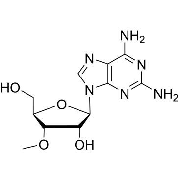 2-Amino-3’-O-methyladenosine|CS-0640467