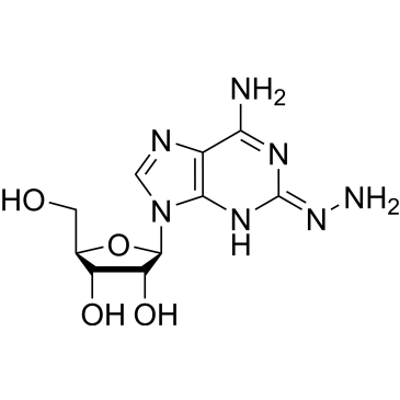 2-Hydrazinyl-adenosine|CS-0640497