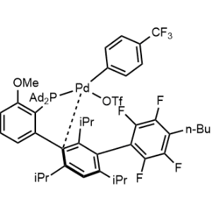 AlPhos Pd G6 OTf|CS-0641805